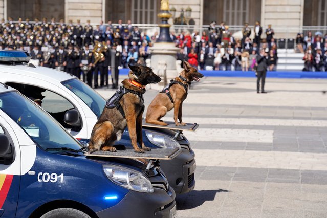 Photographs of the event for the Bicentenary of the National Police, on May 8, 2024, in Madrid, Spain. On January 13, the National Police celebrated 200 years of history. Under the slogan “Committed to you”. This bicentenary commemorates the main episodes in the history of the National Police, its image in the eyes of citizens, the sense of belonging of its members and its recognition as a reference operator in public safety, both nationally and internationally. (Photo By Angel Diaz Briñas/Europa Press via Getty Images)