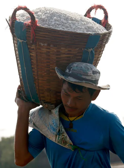 A photo made available on 06 April 2016 shows a Myanmar migrant laborer carrying a basket of salt to load into a truck after the harvest at a salt farm in Samut Sakhon province, Thailand, 05 April 2016. Most salt used in Thailand comes from brine salt farms, and the country's biggest producers of brine salt are located in Samut Sakhon province. The salt fields are harvested in many coastal provinces by pumping sea water into the fields, then letting the water evaporate in the sunlight. Thailand produces more than 1 million tons of salt each year and it is expected that the current drought will bring a longer salt harvest season. (Photo by Rungroj Yongrit/EPA)