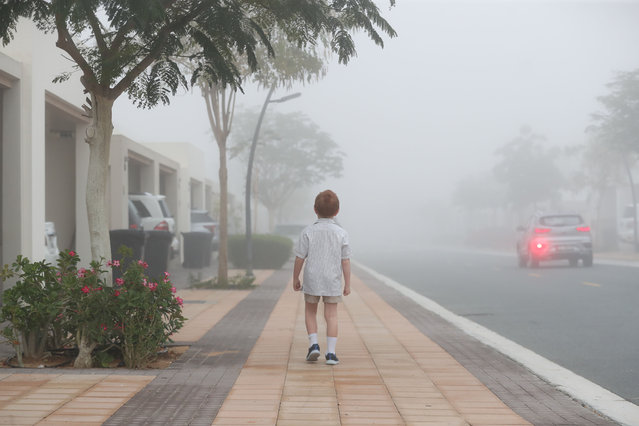 A young boy walks to his school bus on a foggy day in Dubai on March 14, 2024. (Photo by Chris Whiteoak/The National)