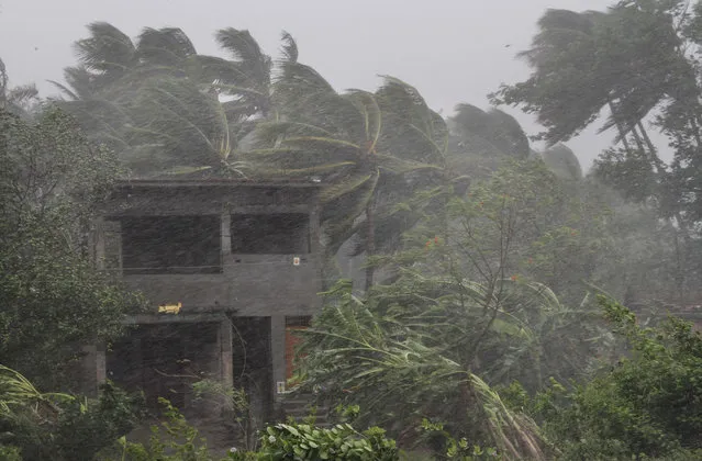 An abandoned house and trees bend with gusty winds ahead of the landfall of cyclone Fani on the outskirts of Puri, in the Indian state of Odisha, Friday, May 3, 2019. Indian authorities have evacuated hundreds of thousands of people along the country's eastern coast ahead of a cyclone moving through the Bay of Bengal. Meteorologists say Cyclone Fani was expected to make landfall on Friday with gale-force winds of up to 200 kilometers (124 miles) per hour likely starting Thursday night. It warned of “extremely heavy falls” over parts of the state of Odisha and its southern neighbor Andhra Pradesh. (Photo by AP Photo)