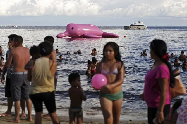 An giant inflatable figure in the shape of a pink river dolphin floats offshore of the Ponta Negra beach along the Amazon river in Manaus July 27, 2014. The figure was placed by organizers of the Red Alert conservation campaign which is trying to halt the killing of the dolphin, which is illegal but common. (Photo by Bruno Kelly/Reuters)