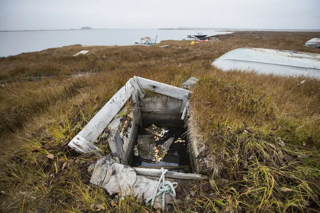 A permafrost ice cellar, which at one time served as a natural freezer for food, is now flooded by melted permafrost in the Inupiat village of Kaktovik, Alaska, USA, 11 September 2017. (Photo by Jim Lo Scalzo/EPA/EFE)