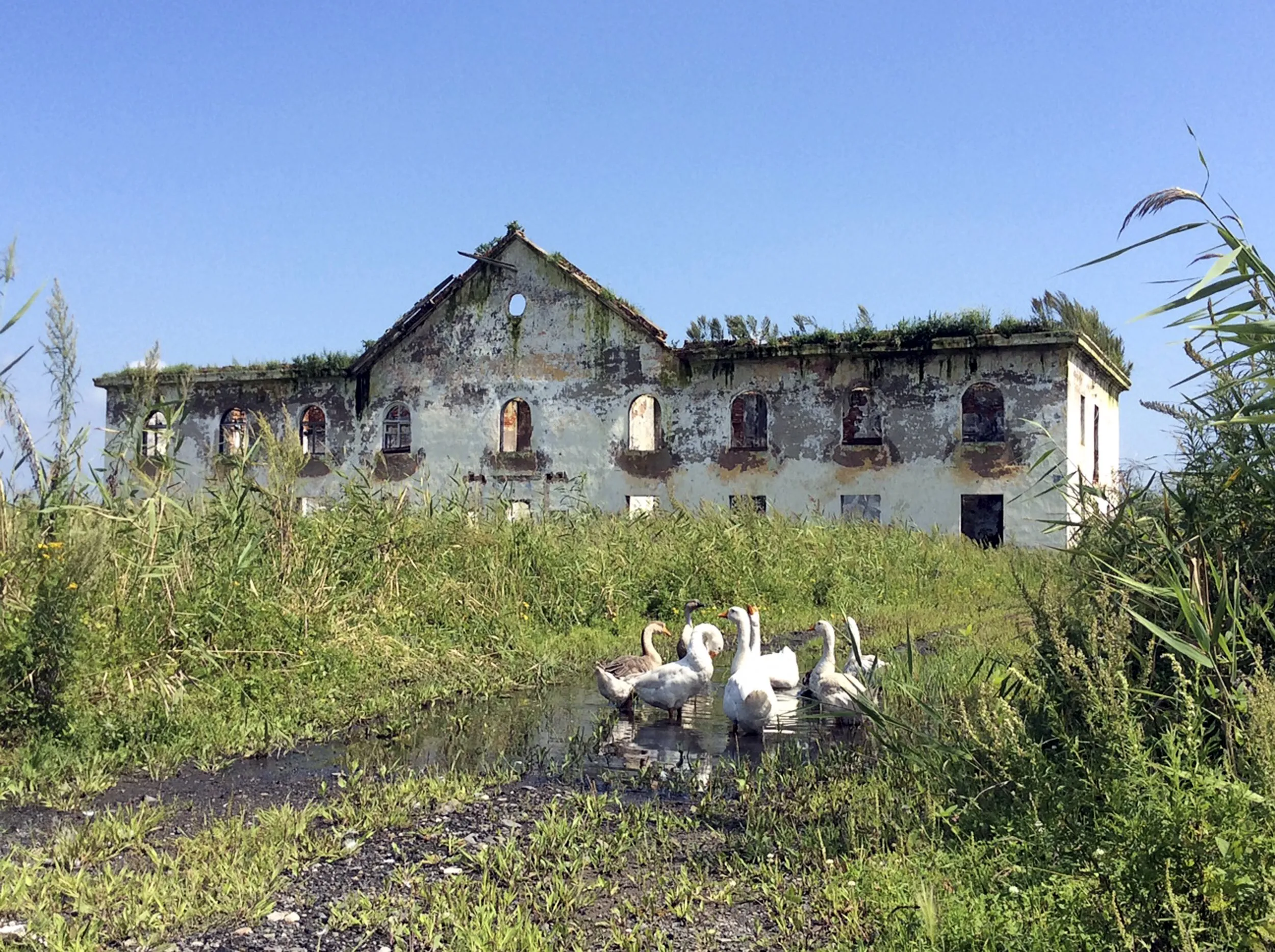 Село много. Деревня Фанчуань. Деревни дальнего Востока. Дальний Восток вымирающие деревни. Исчезнувшие деревни Приморского края.