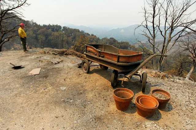 Tom Stokesberry with the U.S. Forest Service surveys the damage at a destroyed property after the Soberanes Fire burned through the Palo Colorado area, north of Big Sur, California, July 31, 2016. (Photo by Michael Fiala/Reuters)