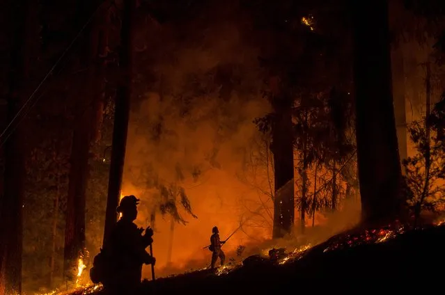 A firefighter battling the King Fire sprays water on a backfire in Fresh Pond, California September 17, 2014. (Photo by Noah Berger/Reuters)