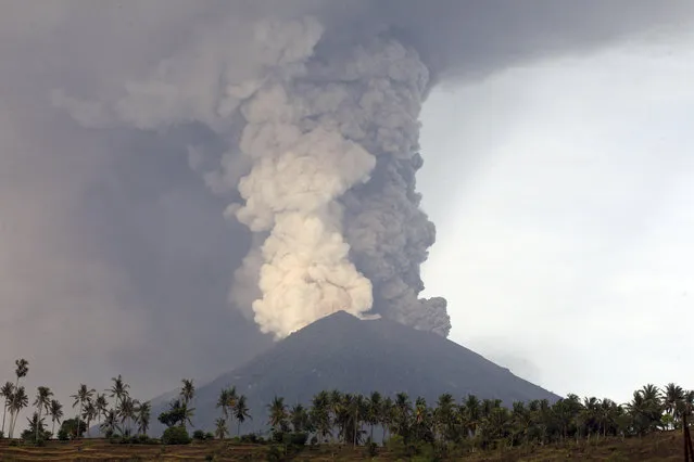 A view of the Mount Agung volcano erupting in Karangasem, Bali, Indonesia, Monday, November 27, 2017. The volcano on the Indonesian tourist island of Bali erupted for the second time in a week on Saturday, disrupting international flights even as authorities said the island remains safe. (Photo by Firdia Lisnawati/AP Photo)