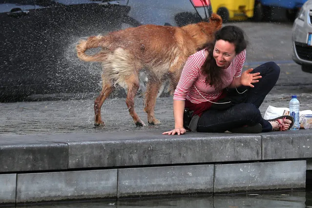 A woman is caught unexpectedly by a dog shaking off water after emerging from a canal in Brussels, Belgium August 17, 2016. (Photo by Clodagh Kilcoyne/Reuters)