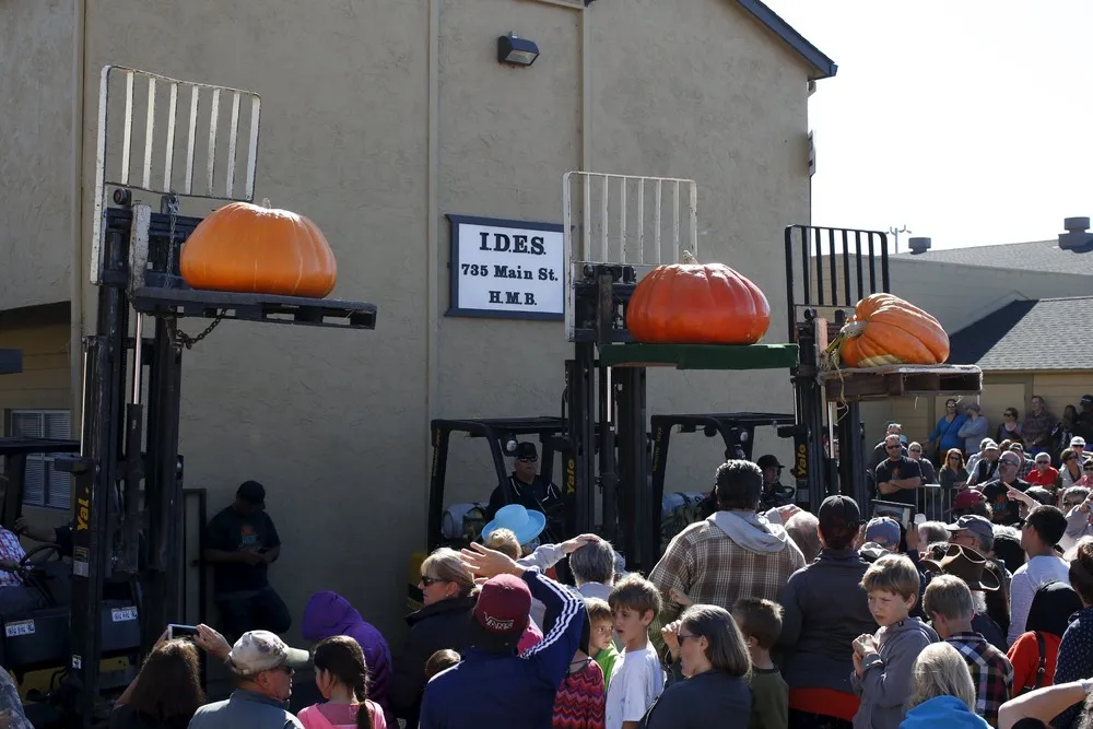 2015 Pumpkin World Championship