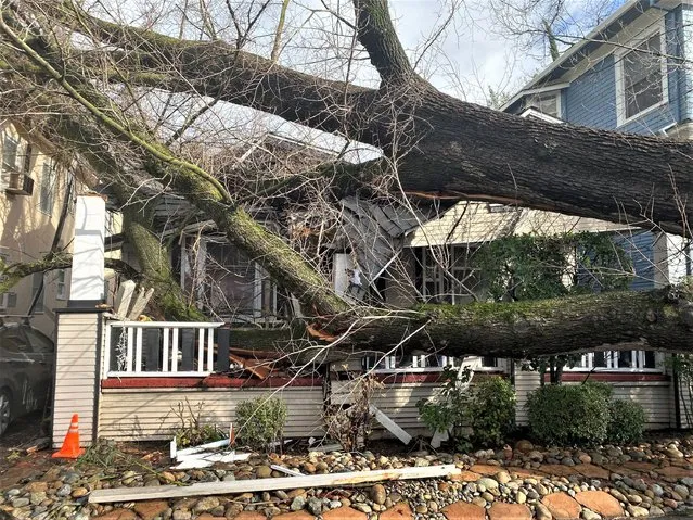 A tree collapsed and ripped up the sidewalk damaging a home in Sacramento, Calif., Sunday, January 8, 2023. The National Weather Service warned of a “relentless parade of atmospheric rivers” – storms that are long plumes of moisture stretching out into the Pacific capable of dropping staggering amounts of rain and snow. (Photo by Kathleen Ronayne/AP Photo)
