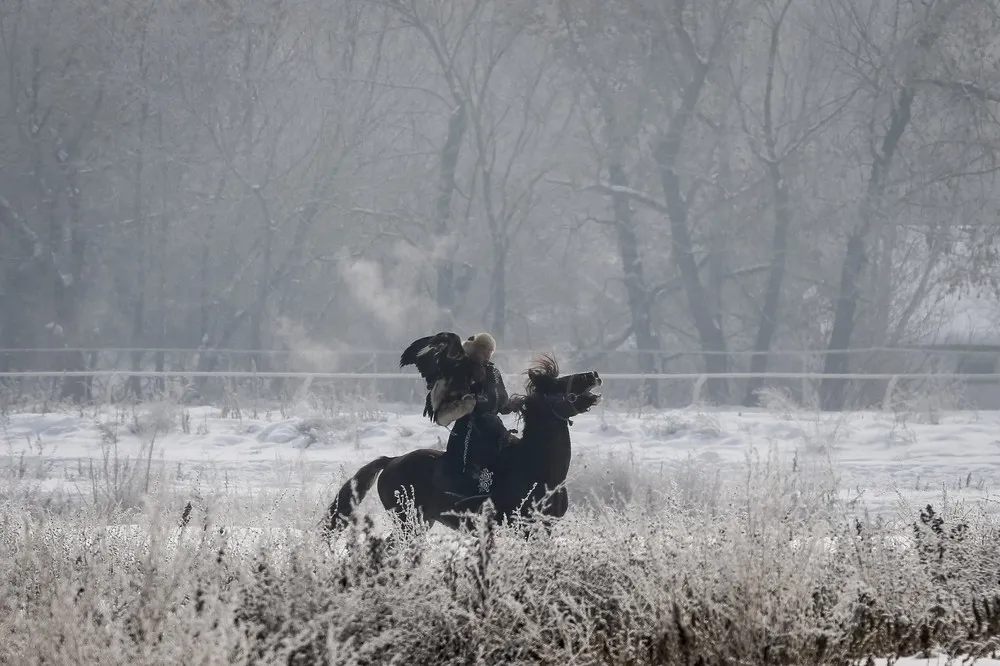 Kazakhstan's Top Eagle Hunter