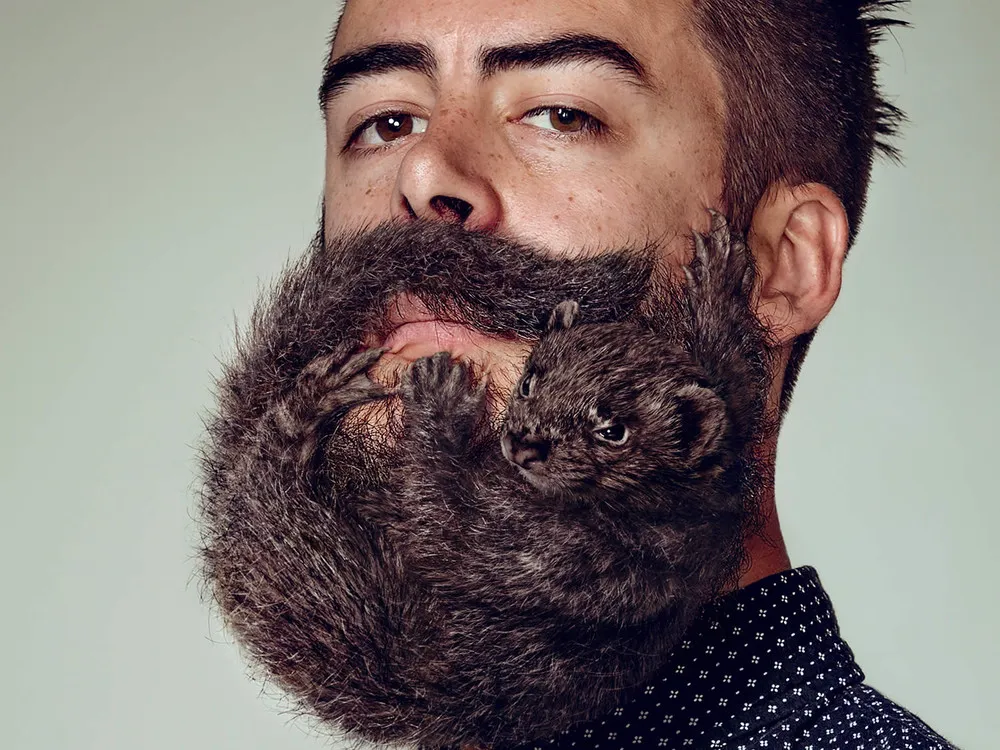 Animal Beards by David Kiefaber