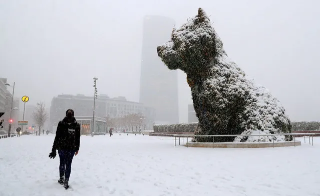 A woman walks in front of snow-covered Puppy sculpture by Jeff Koons during a snowstorm in San Sebastian, the Basque Country, northern Spain, 28 February 2018. A total of 40 provinces are under alert due to freezing temperatures, strong winds and snowfalls. (Photo by Luis Tejido/EPA/EFE)