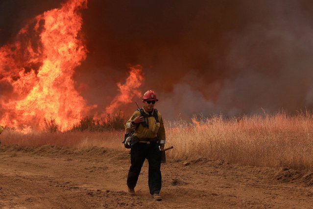 Flames rise as firefighters battle the Gifford Fire in brush-covered hillsides west of New Cuyama, California, U.S. August 4, 2025. (Photo by David Swanson/Reuters)