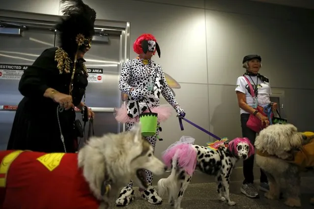 Therapy dogs and their owners wear Halloween costumes as part of a program to de-stress passengers at the international boarding gate area of LAX airport in Los Angeles, California, United States, October 27, 2015. (Photo by Lucy Nicholson/Reuters)
