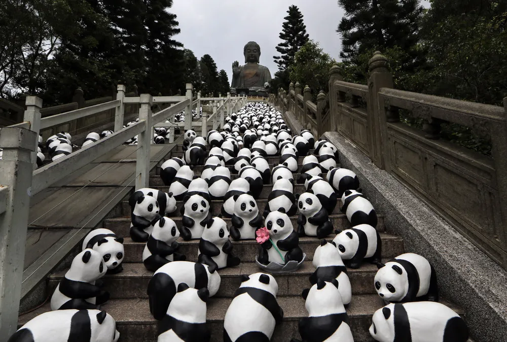 Paper Pandas on Display