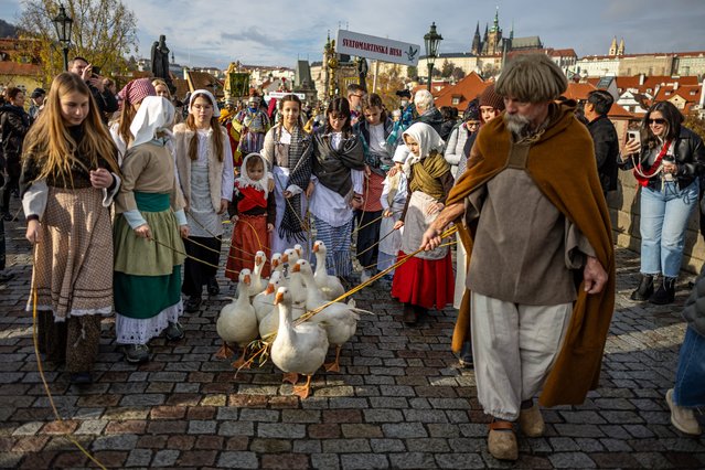 People in historical costumes lead geese during a procession of Saint Martin of Tours on a white horse on the medieval Charles Bridge in Prague, Czech Republic, 11 November 2025. It is a symbolic reminder of the legend that Saint Martin was once betrayed by the cackling of geese when he hid in a barn to avoid being chosen as a bishop and that is why people traditionally eat goose on St. Martin's Day. The arrival of Saint Martin of Tours on a white horse is a folk tradition associated with St. Martin's Day on 11 November. According to legend, Saint Martin arrives on his white horse to announce the coming of winter and the first snowfall. (Photo by Martin Divisek/EPA)