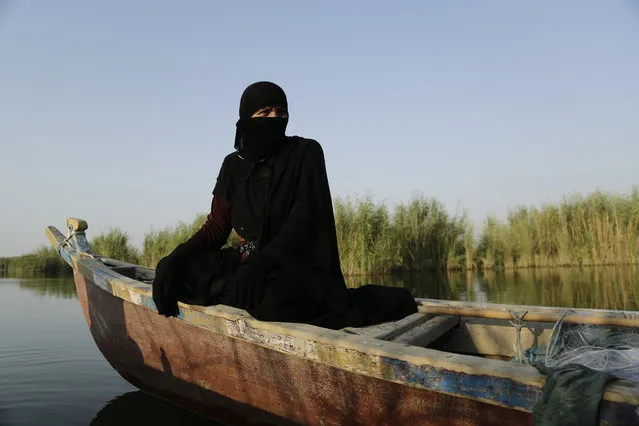 In this September 11, 2017 photo, a fisherwoman prepares to lay out her netting beside a bank of reeds in the marsh of Chabaish, Iraq. The majority of the marsh’s roughly 6,000 inhabitants subsist on fishing and raising water buffalo, but as water quality continues to drop, yields have diminished and increasingly residents are living in poverty. (Photo by Susannah George/AP Photo)