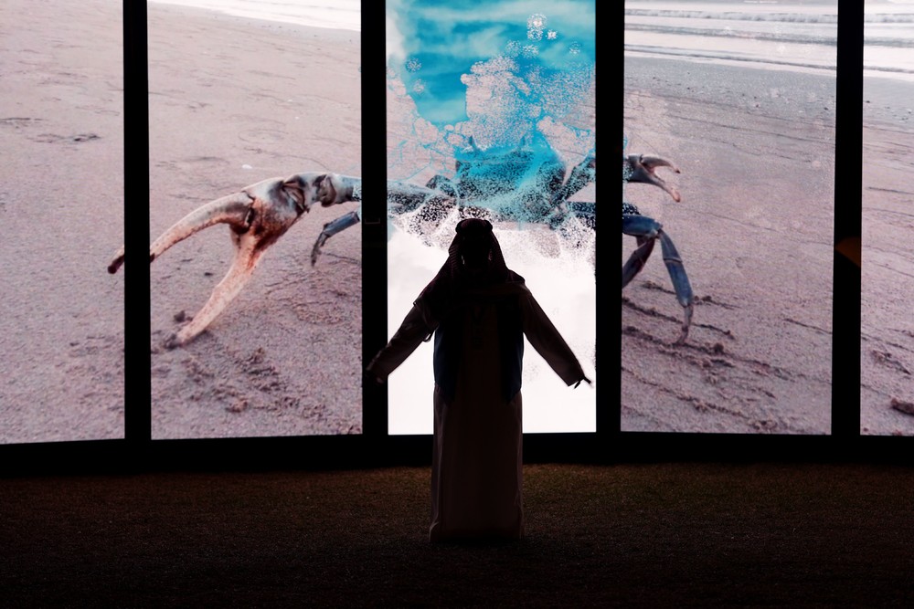 Some Photos: Contemporary Art