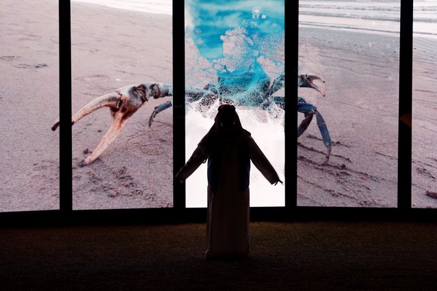 A general view of the installation In Light, Together by the artist Alexandra Gelis during the Noor Riyadh Festival 2025 on November 20, 2025 in Riyadh, Saudi Arabia. (Photo by Norah Alamri/Getty Images)