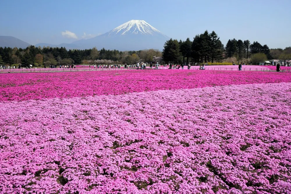 A Look at Life in Japan