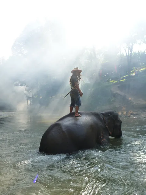 “A mahout and his elephant”. A mahout casually looks back as he rides his elephant across the Mae Wang river at the Chai Lai Orchid in Chiang Mai, Thailand. (Photo and caption by Alexandra Pham/National Geographic Traveler Photo Contest)