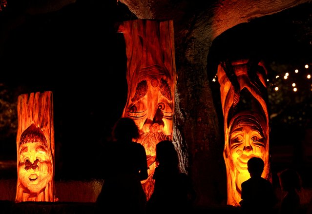 Visitors walk by carved logs installation during the opening night of the Halloween themed exhibit Carved at Descanso Gardens in La Canada Flintridge, California, on October 4, 2024. (Photo by Mario Anzuoni/Reuters)