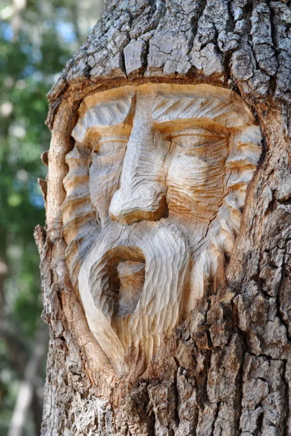 Tree Spirit Carvings by Keith Jennings