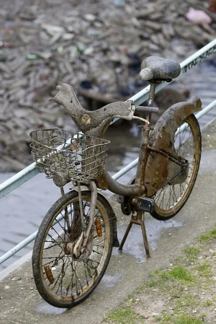 An abandoned mud covered Velib self-service public bicycle is displayed after being extracted during the draining of the Canal Saint-Martin in Paris, France, January 5, 2016. (Photo by Charles Platiau/Reuters)