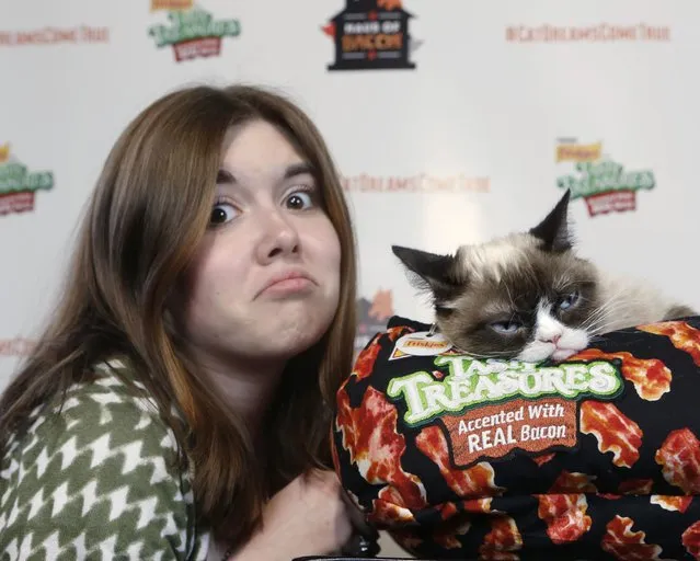 Friskies' “official spokescat” Grumpy Cat takes time to frown with fans at the first-ever “Haus of Bacon” during the popular Austin-based festival on Sunday, March 15, 2015 in Austin, TX. Thanks to fan support through use of the hashtag #CatDreamsComeTrue, Friskies® donated 50,000 meals of the NEW Tasty Treasures® Accented with Real Bacon to shelter cats. (Photo by Erich Schlegel/AP Images for Friskies)