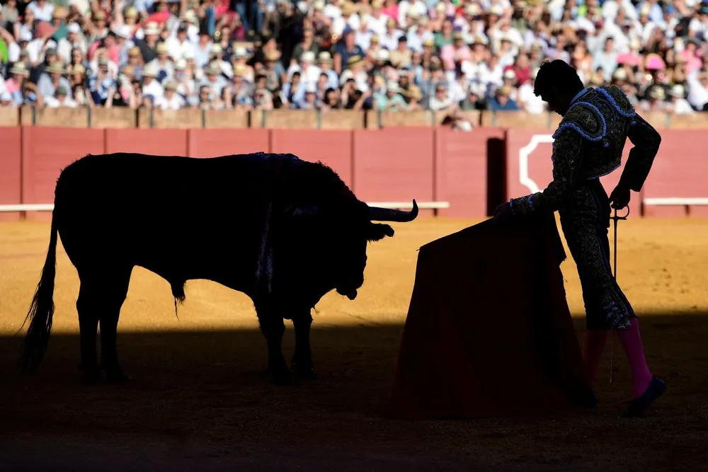 Some Photos: Silhouettes