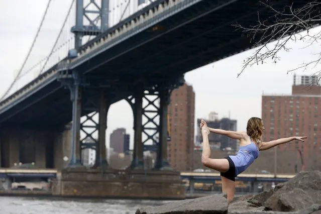 A woman strikes a yoga pose at the Brooklyn Bridge Park in New York March 10, 2016. (Photo by Shannon Stapleton/Reuters)