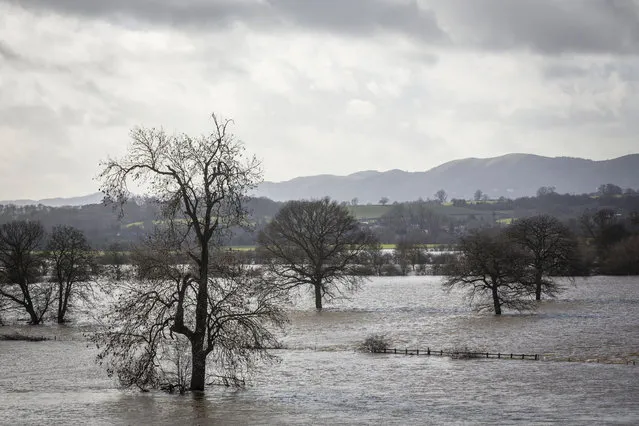 Flooded fields west of the River Severn are seen from the Carrington slightly south of the confluence with the River Teme on February 11, 2014 in Worcester, England. (Photo by Rob Stothard/Getty Images)