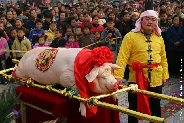 A man stands beside a slaughtered pig at the annual Nianzhu Festival