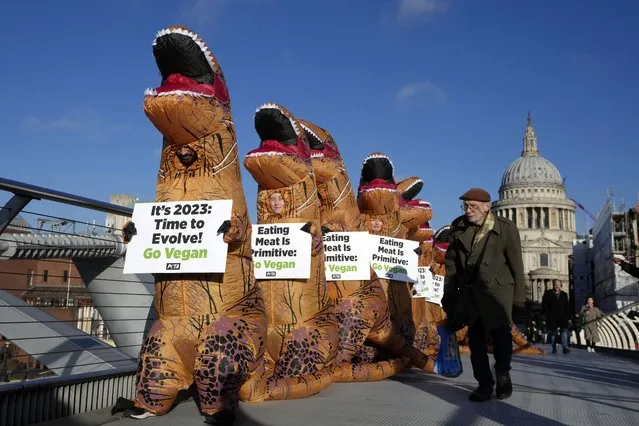 Passers by look towards PETA (People for the Ethical Treatment of Animals) supporters dressed in dinosaur costumes with the message: consuming meat, eggs, and dairy is primitive, walk over Millennium Bridge in London, Wednesday, January 18, 2023. Veganuary is an annual global campaign that promotes going vegan for the month of January to help animals, slash greenhouse gas emissions, and improve one's personal health. (Photo by Kirsty Wigglesworth/AP Photo)
