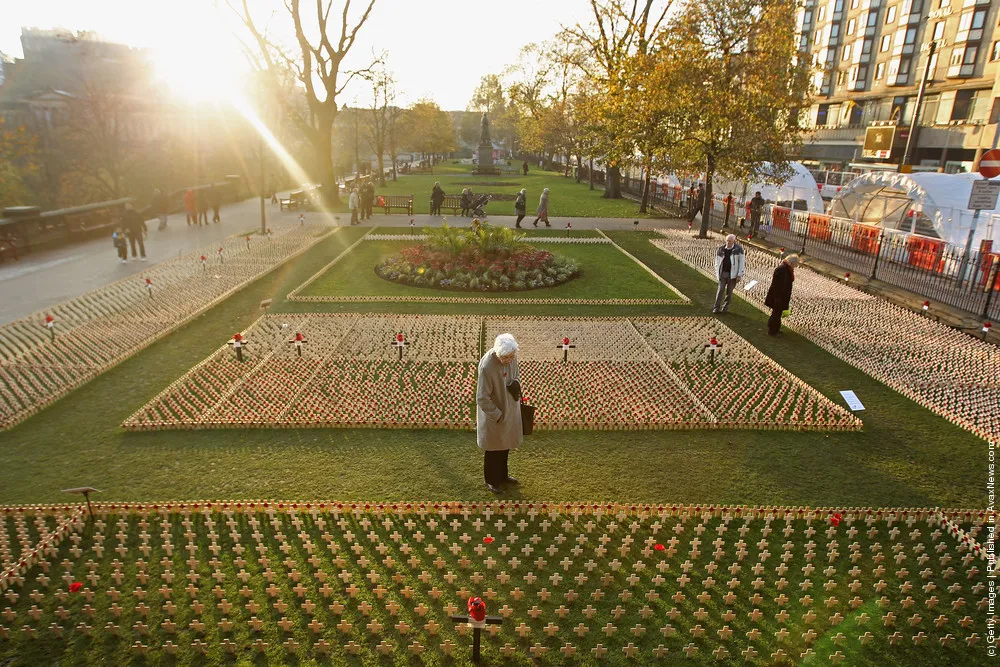Scotlands First Field Of Remembrance Opens Ahead Of Armistice Day