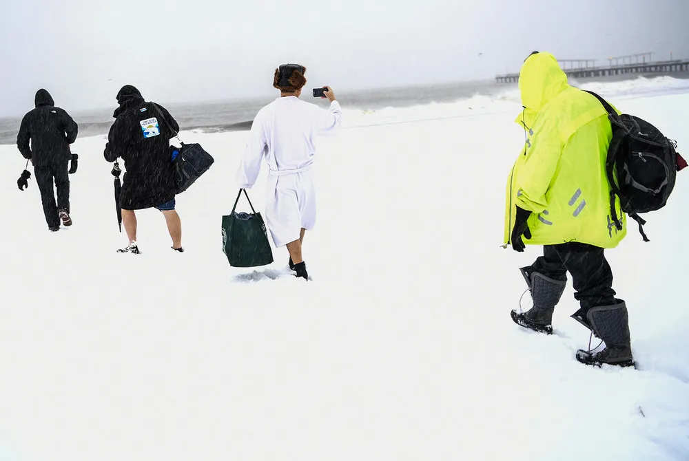Brave Coney Island Polar Bears