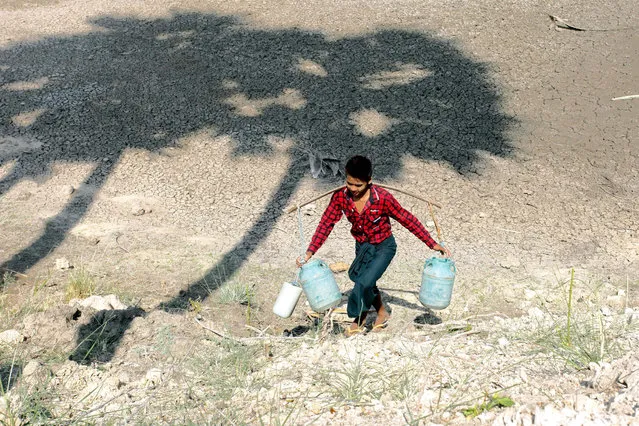 A boy carries buckets to collect drinking water at Sapa village, in the outskirts of Mandalay, Myanmar, 23 February 2016. Weather experts say Myanmar's norther state Mandadaly might suffer from drought due to the El Nino weather phenomenon. The summer 2016 is expected to see the worst drought situation and the shortage of drinking water will also be a problem in the villages. (Photo by Hein Htet/EPA)