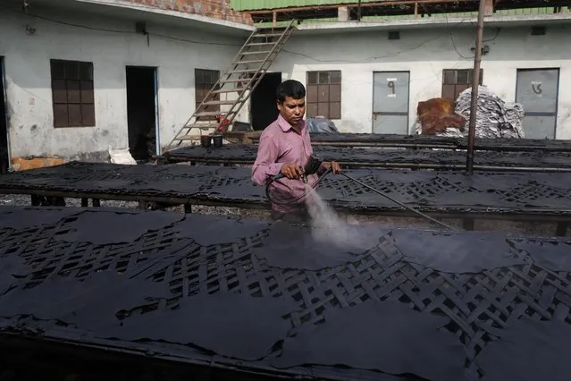 In this Monday, February 6, 2017 photo, a Bangladeshi worker sprays chemicals on to coloured strips of leather to dry at the highly polluted Hazaribagh tannery area in Dhaka, Bangladesh. Hazardous, heavily polluting tanneries with workers as young as 14 supplied leather to companies that make shoes and handbags for Western brands, a nonprofit group that investigates supply chains says. (Photo by A.M. Ahad/AP Photo)