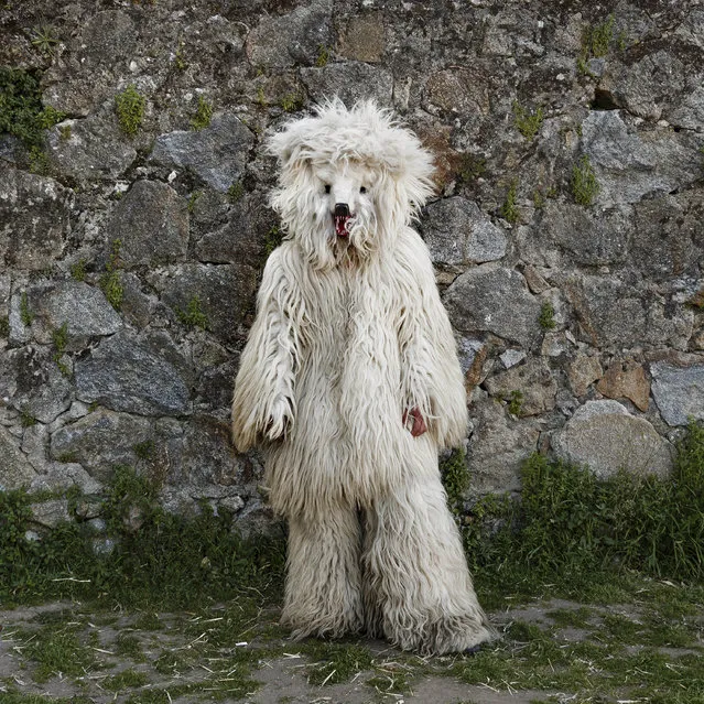 In this April 1, 2017 picture a man who represents the role of a wild bear in the traditional carnival of “La Vijanera de Silio” poses for a picture before a traditional Spanish mask gathering in the small village of Casavieja, Spain. (Photo by Daniel Ochoa de Olza/AP Photo)