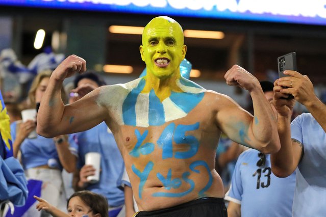 Uruguay's supporters attend the Conmebol 2024 Copa America tournament group C football match between Uruguay and Panama at Hard Rock Stadium in Miami, Florida on June 23, 2024. (Photo by Chris Arjoon/AFP Photo)