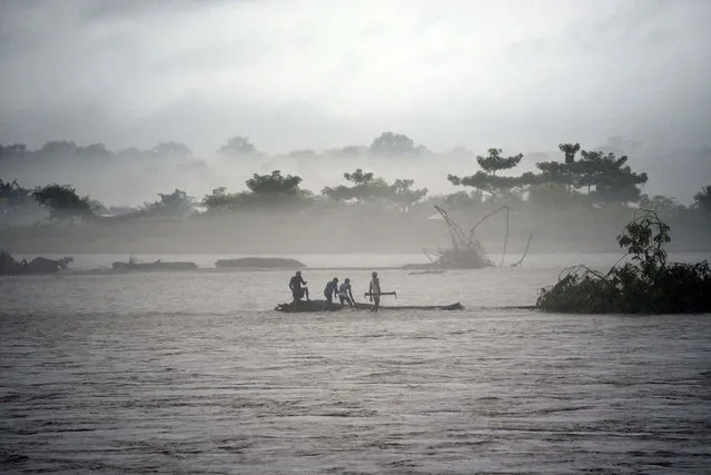 In this picture taken on July 15, 2019, Indian men catch a tree in the flooded Manas river, following heavy rainfall in Baksa district of Assam, in the North-Eastern states of India. Torrential monsoon rains swept away homes and triggered landslides across South Asia, affecting millions of people and spiking the death toll to at least 180, officials said on July 16. (Photo by David Talukdar/AFP Photo)