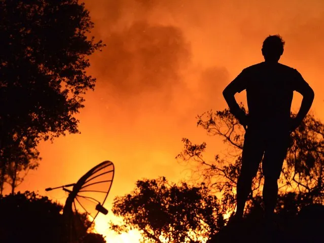 A San Marcos resident who did not evacuate watching flames near his home, in the San Diego county, California. (Photo by Stuart Palley/EPA)