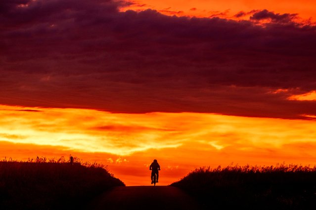 A man rides his bike on a small road on the outskirts of Frankfurt, Germany, before the sun rises on Thursday, June 20, 2024. (Photo by Michael Probst/AP Photo)