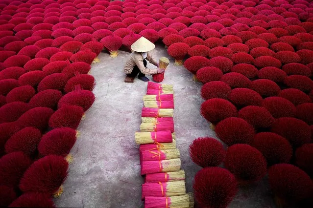 This picture taken on January 3, 2019 shows a Vietnamese woman collecting incense sticks in a courtyard in the village of Quang Phu Cau on the outskirts of Hanoi. In Vietnam's “incense village”, hundreds of workers are hard at work dying, drying and whittling down bamboo bark to make the fragrant sticks ahead of the busy lunar new year holiday. (Photo by Manan Vatsyayana/AFP Photo)