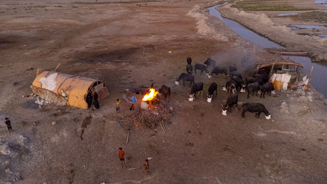 An aerial view of a woman bakes bread at Iraq's southern Chibayish marshes in Nasiriyah, Iraq, Friday, September 6. 2024. Deep within Iraq's celebrated marsh lands, conservationists are sounding alarm bells and issuing a stark warning: Without quick action, the UNESCO protected site could all but wither away. (Photo by Hadi Mizban/AP Photo)