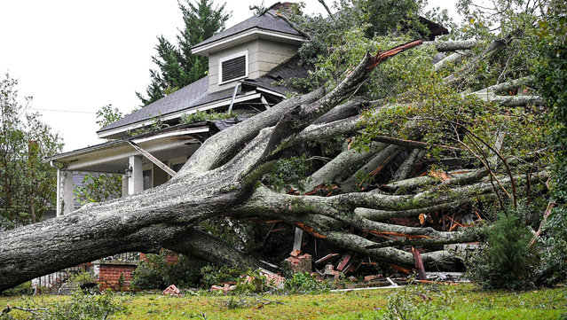 A large oak lies on a home after it fell due to Tropical Storm Helene in Anderson, South Carolina, U.S., September 27, 2024. (Photo by Ken Ruinard/The Anderson Independent Mail/USA TODAY Network via Reuters)