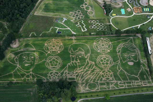 An aerial view of  farmer Tom Pearcy's Maze in York, England, on Jule 11, 2014. The York maze features the giant likenesses of famous Yorkshiremen Geoffrey Boycott, Jeremy Clarkson and Brian Blessed cut from an 18 acre field of maize. (Photo by Anna Gowthorpe/Getty Images)