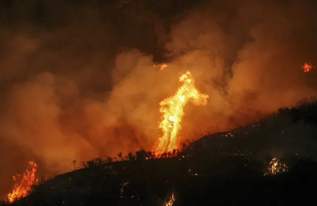 Flames flare up from a wildfire near Placenta Caynon Road in Santa Clarita, Calif., Sunday, July 24, 2016. (Photo by Ringo H.W. Chiu/AP Photo)