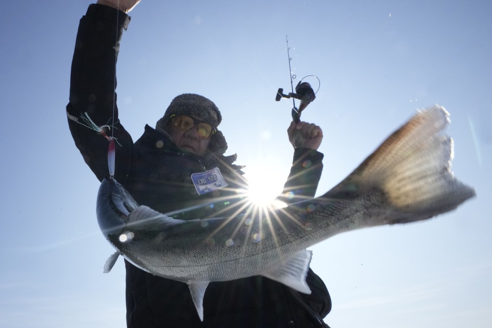 A Look at Life in South Korea