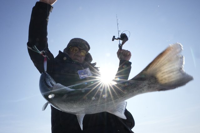 A participant catches a trout on a frozen river during a trout catching contest in Hwacheon, South Korea, Sunday, February 2, 2025. (Photo by Ahn Young-joon/AP Photo)